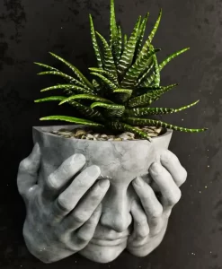 Thoughts Duvar Tipi Saksı